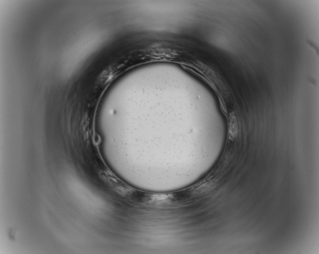 X0000103150573200809051640