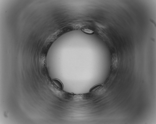 X0000103150574200809051640