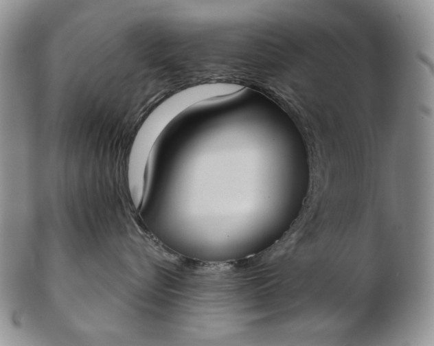 X0000103150576200809051640