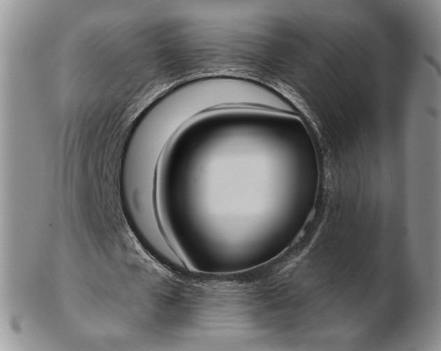 X0000103150577200809051639