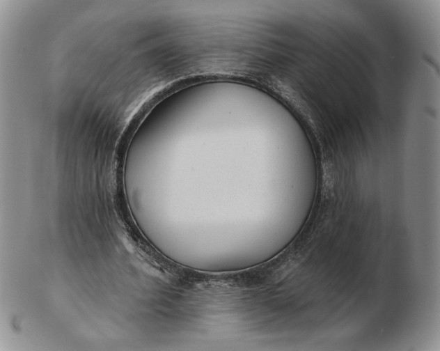 X0000103150580200809051639