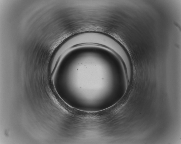 X0000103150581200809051639