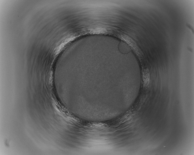 X0000103150583200809051639