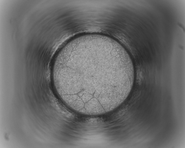 X0000103150584200809051639