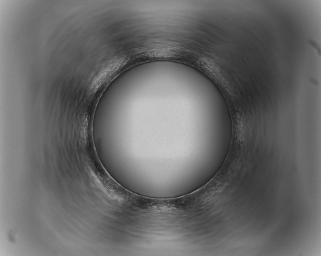 X0000103150586200809051639