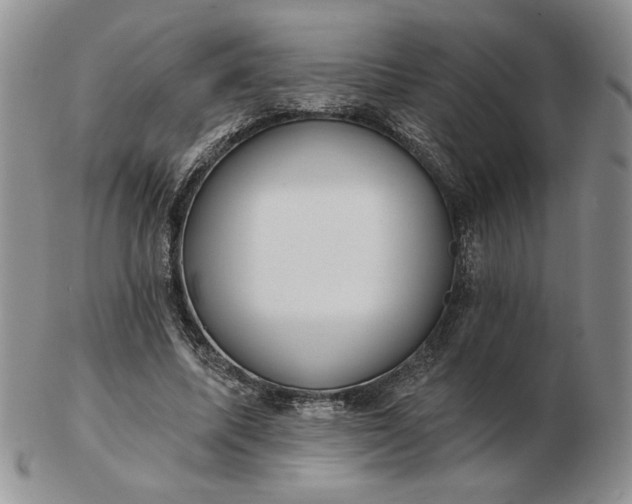 X0000103150587200809051639