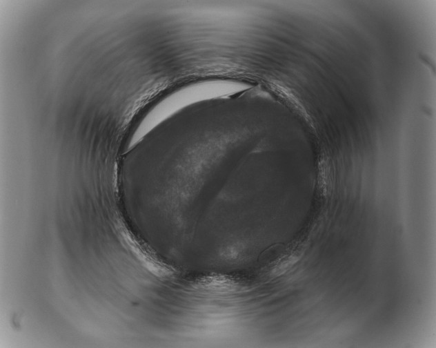 X0000103150589200809051639