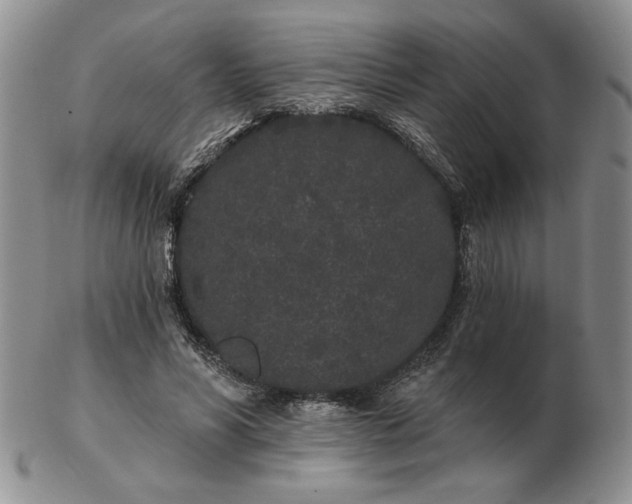 X0000103150590200809051639