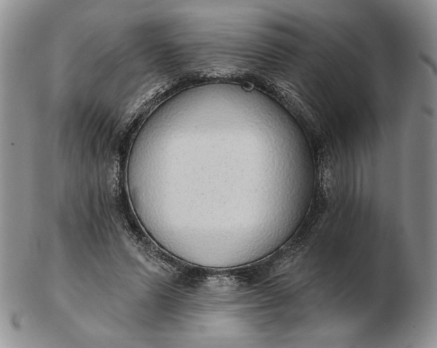 X0000103150591200809051639