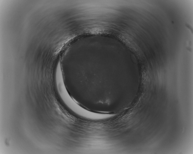 X0000103150592200809051639