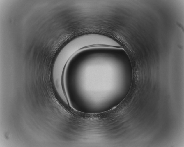 X0000103150593200809051639