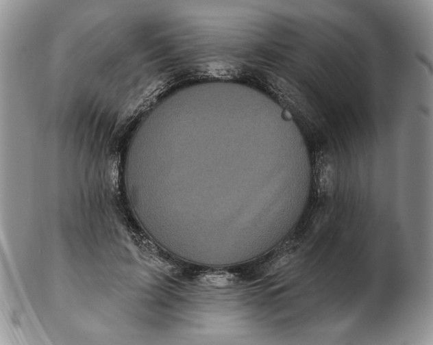 X0000103150595200809051639