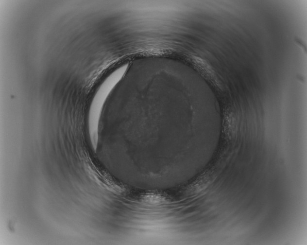 X0000103150596200809051639