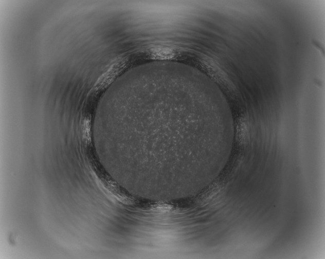 X0000103150598200809051639