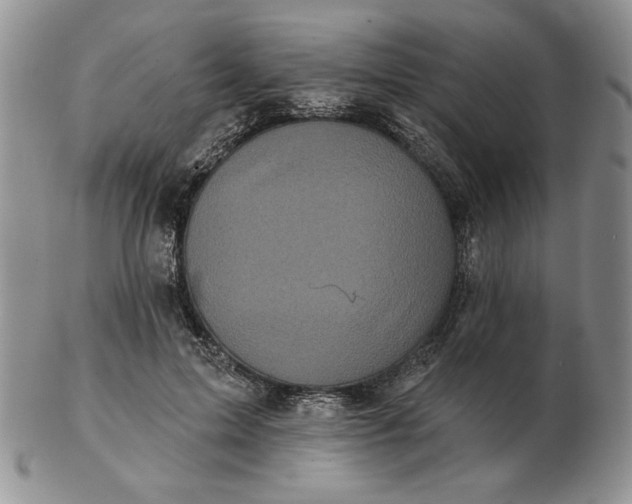 X0000103150599200809051639