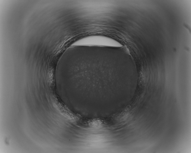 X0000103150600200809051639