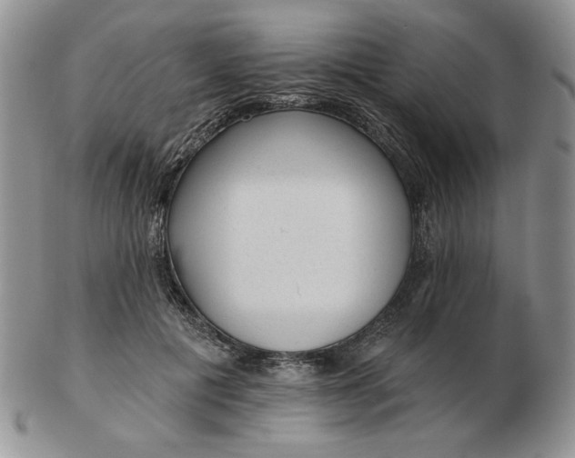 X0000103150601200809051639