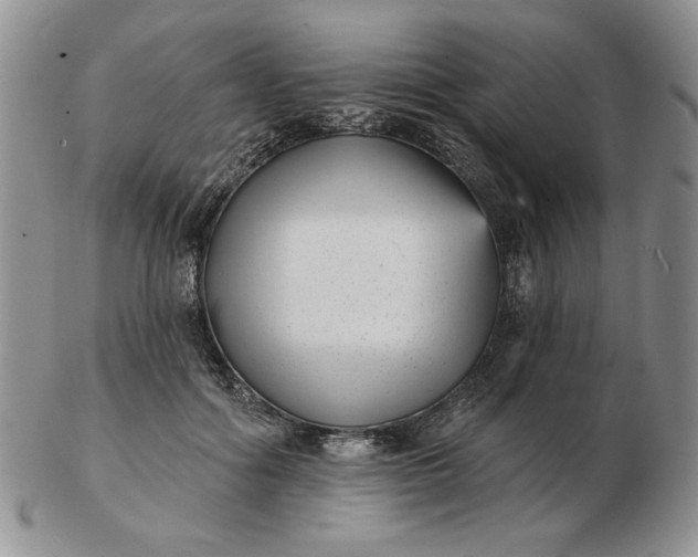 X0000103150602200809051639