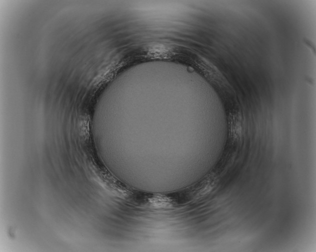 X0000103150603200809051639