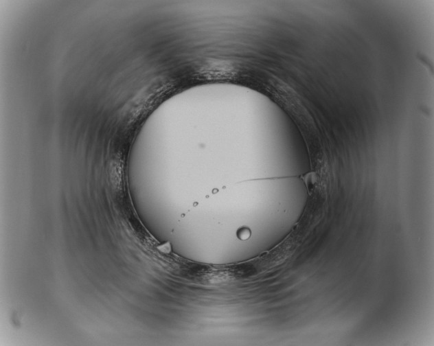 X0000103150604200809051639