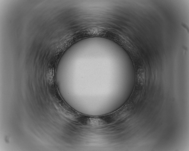 X0000103150605200809051639