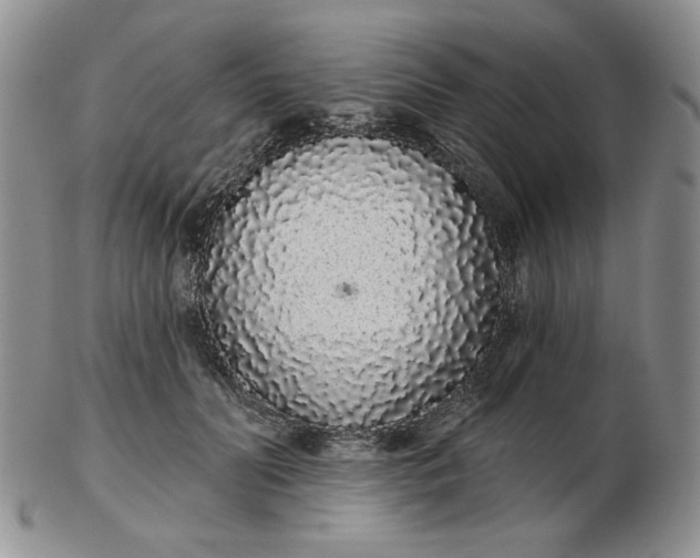 X0000103150606200809051639