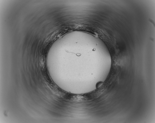 X0000103150607200809051639