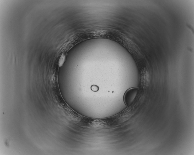 X0000103150608200809051639