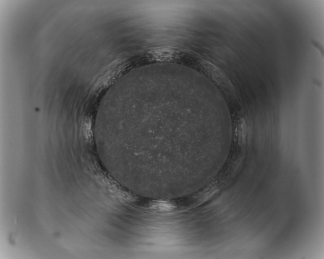 X0000103150610200809051639