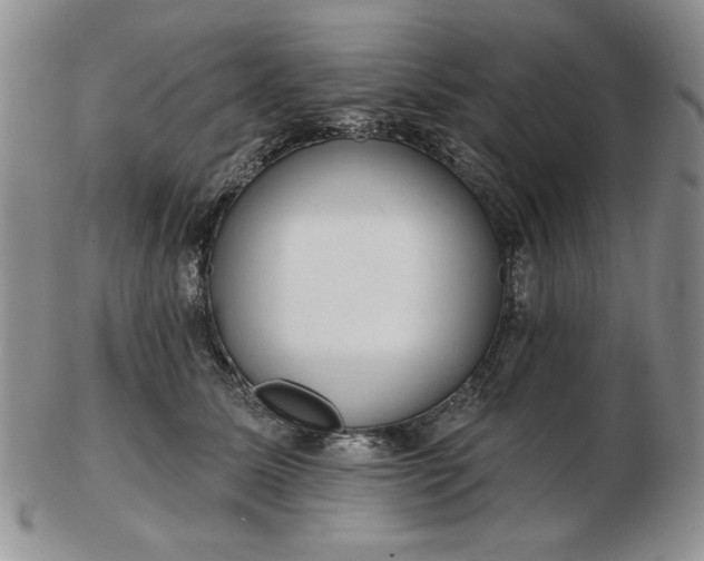 X0000103150611200809051639