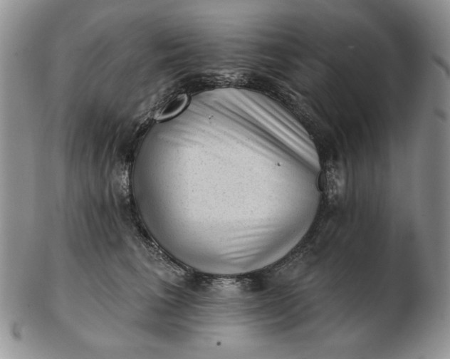 X0000103150613200809051639