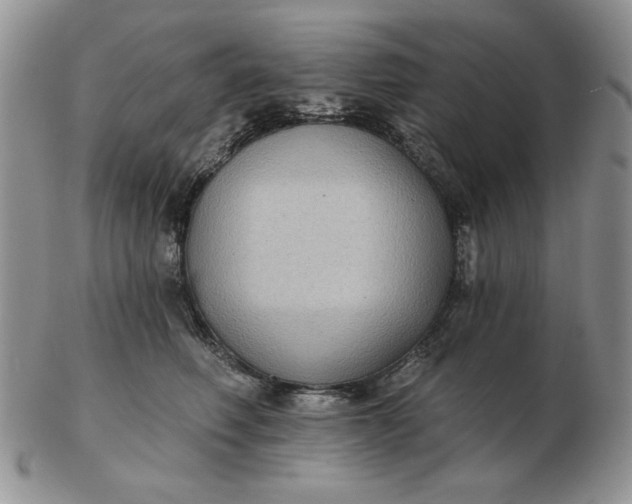 X0000103150614200809051639