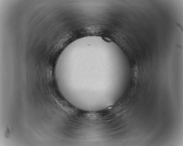 X0000103150615200809051639