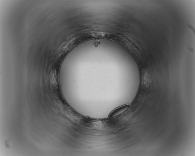 X0000103150616200809051639