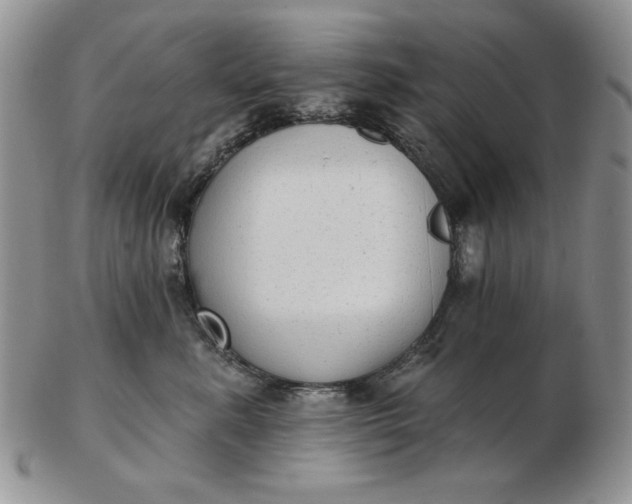 X0000103150619200809051639