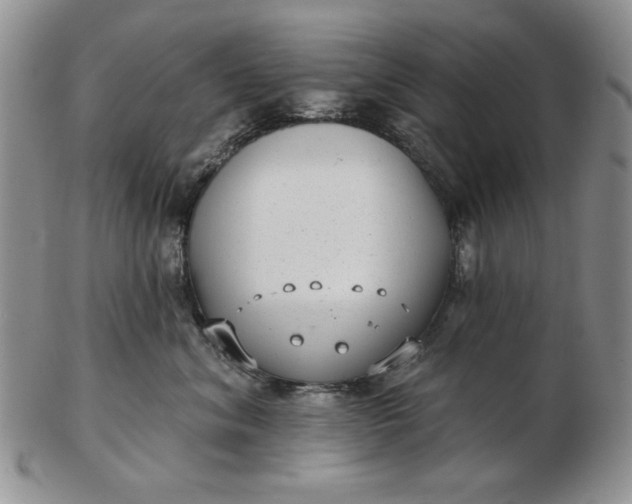 X0000103150620200809051638