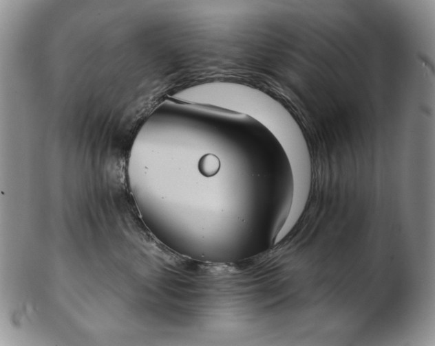 X0000103150621200809051638