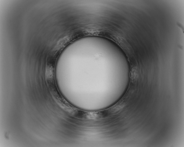 X0000103150623200809051638