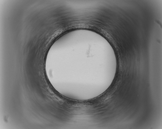 X0000103150625200809051638