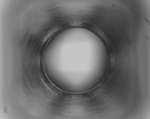 X0000103150626200809051638