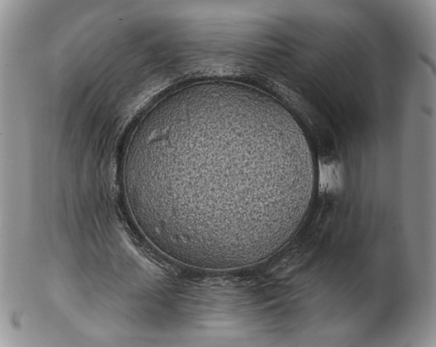 X0000103150627200809051638