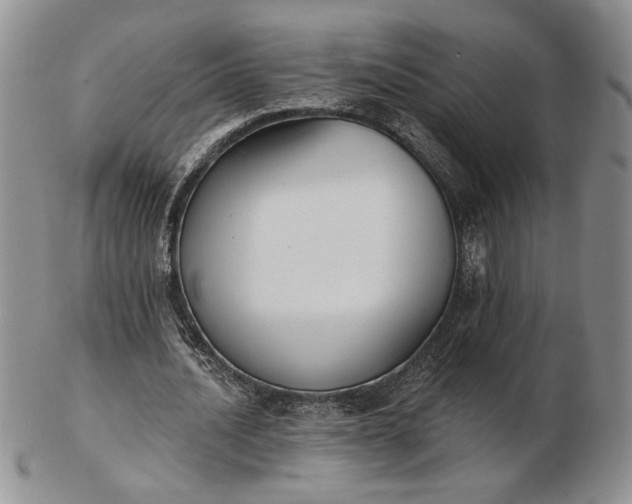 X0000103150628200809051638