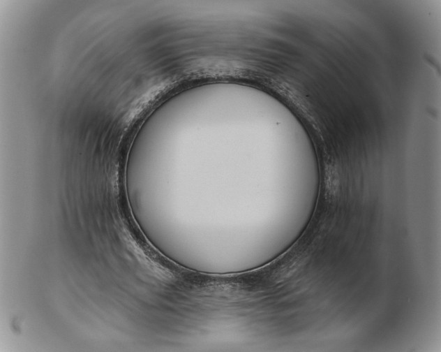 X0000103150629200809051638