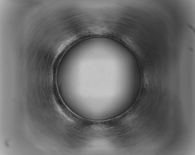 X0000103150630200809051638