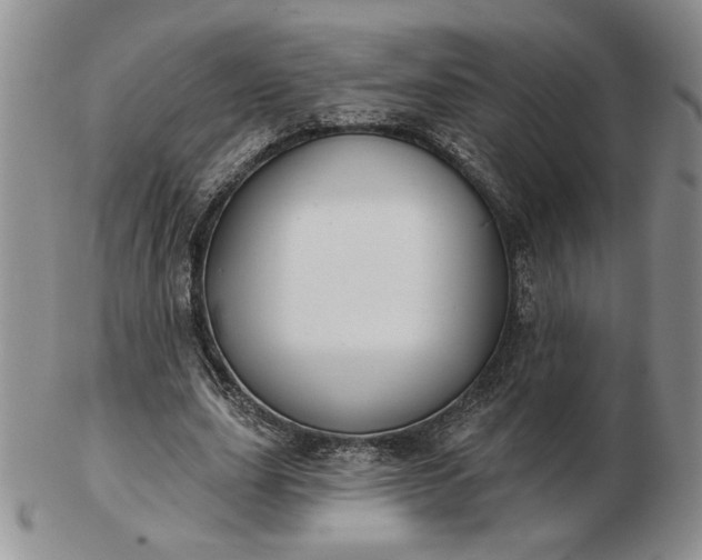 X0000103150631200809051638