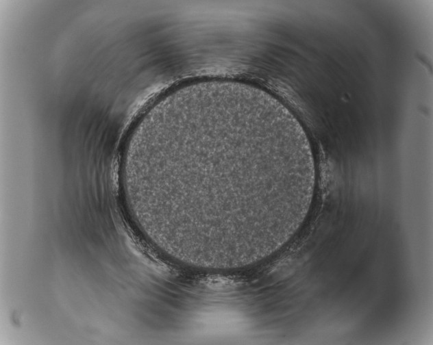 X0000103150632200809051638