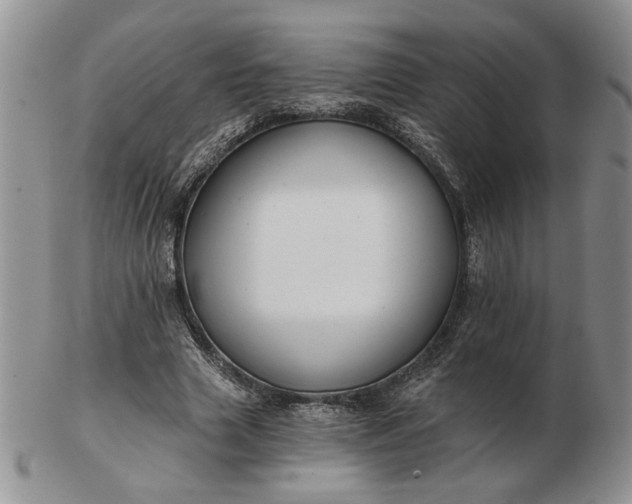 X0000103150633200809051638