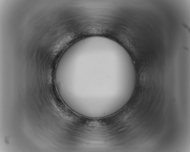 X0000103150635200809051638