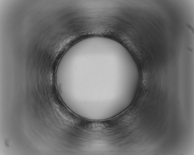 X0000103150636200809051638