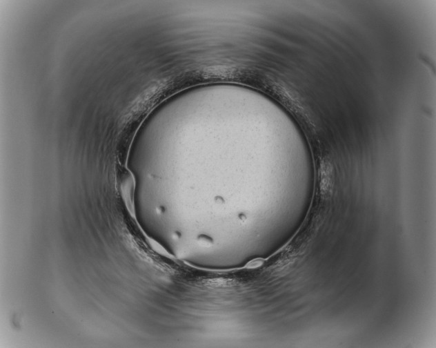 X0000103150637200809051638